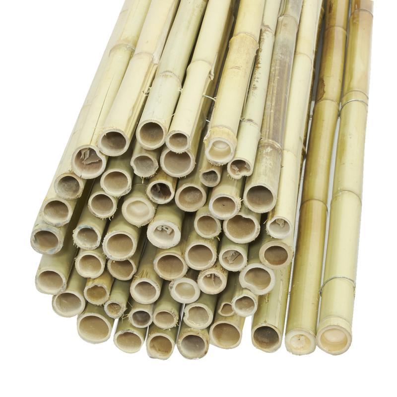 Canisse de Bambou naturel