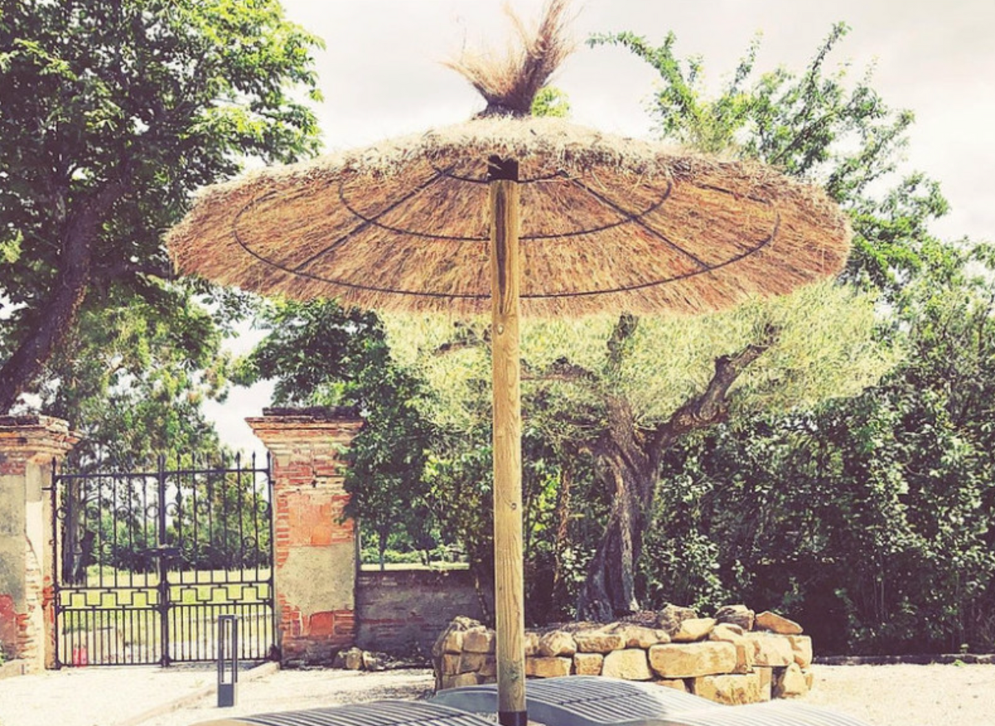 Parasol en brande de bruyère